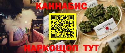 соль ск Можга