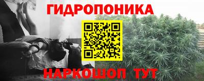 эйфоретик Нарткала