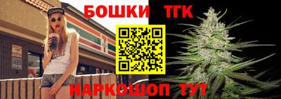 соль ск Можга