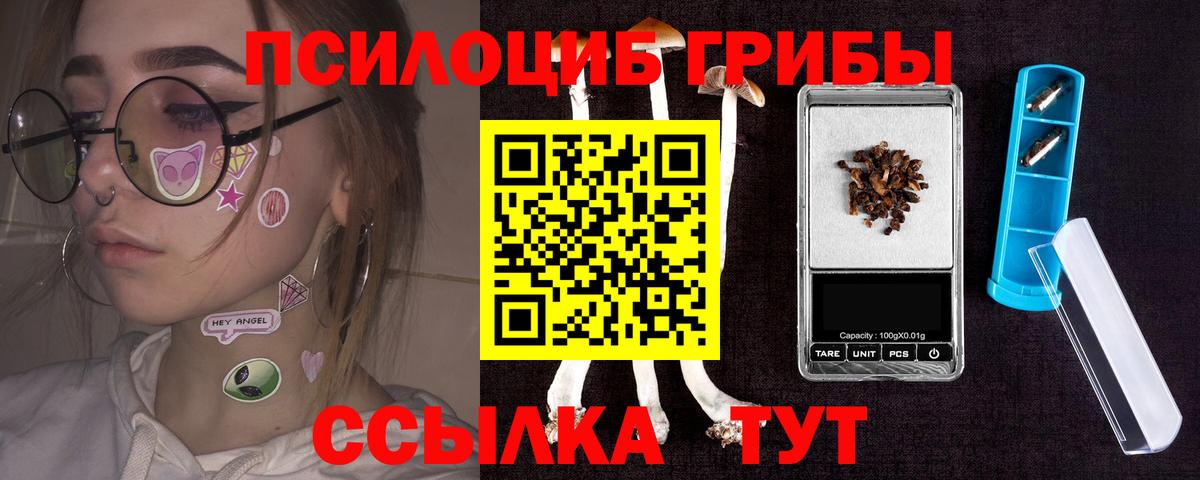 Псилоцибиновые грибы Cubensis Северобайкальск